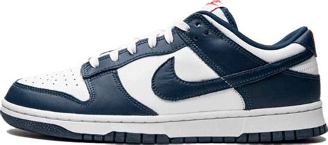 Heren Blauw Nike Dunk